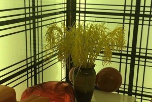 杭州临平区东湖街道附近ktv招聘现场DJ,过年放假吗？