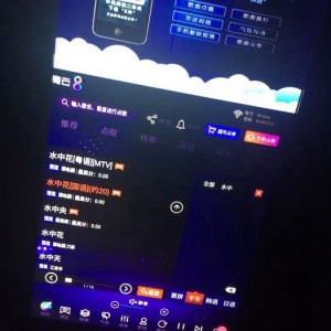 湛江求职指南与杭州旅游保姆行业洞察