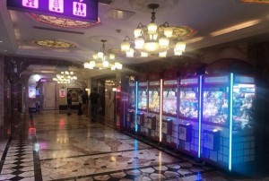 龙华求职指南与杭州旅游趣行攻略