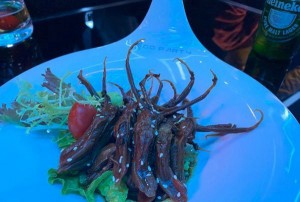 杭州富阳区渌渚镇附近酒吧招聘包厢陪唱,(不收入职费,直接入职的)